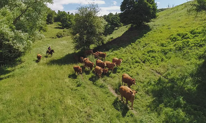 esperienze-nella-natura-una-giornata-speciale-alla-guinza